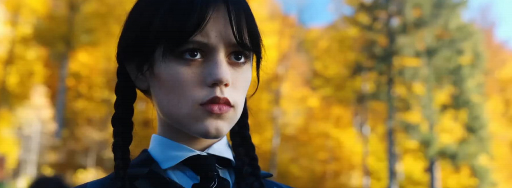 WEDNESDAY ADDAMS FAMILY COSTUME