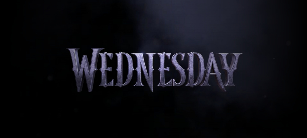 wednesday addams family costume